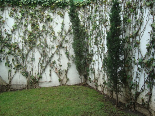 Imagen 11 de 11 de Casa En Cond. C. Jardin Y Bodega Cerca Centro Comercial Santa Fe