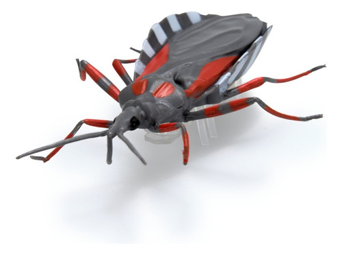 Hex Bots Nano Real Bugs, 5 Insectos Falsos, Mini Robots Nano Bugs Multicolor
