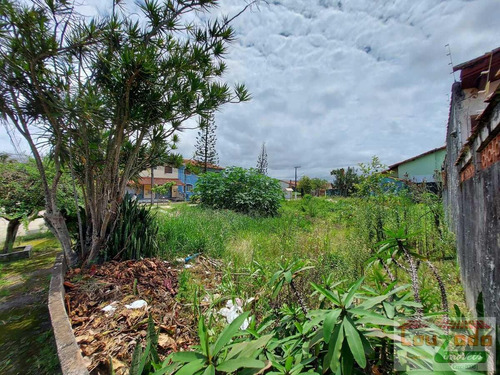 Imagem 3 de 6 de Terreno Para Venda Em Peruíbe, Cidade Nova Peruibe - 3855_2-1245868