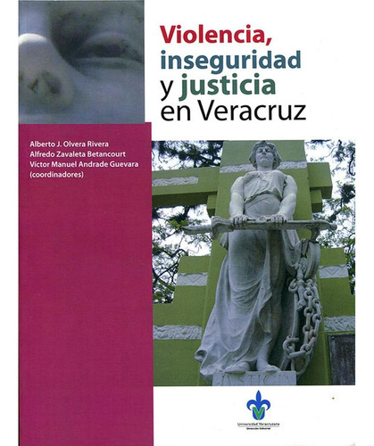 Violencia, Inseguridad Y Justicia En Veracruz