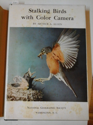 Stalking Birds With Color Camera - Arthur  Allen - P003