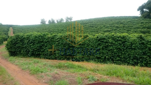 Imagem 12 de 15 de Fazenda Para Venda Em Ouro Fino, - - Fazenda 0_1-2221666