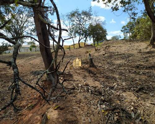 Imagem 6 de 30 de Terreno No Bairro Cidade Jardim - Esmeraldas - Te00295 - 68404585