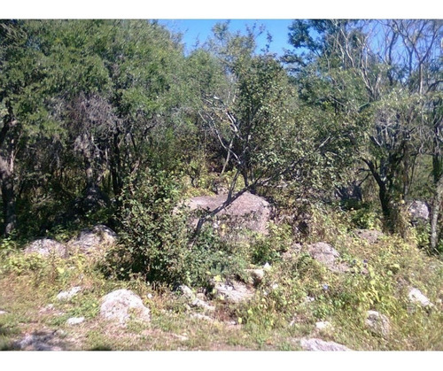Imagen 9 de 18 de Amplisimo Lote En Prado De La Rivera . Agua De Oro,cordoba!