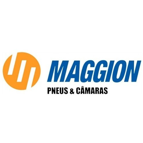 Par Pneu Titan 150/160 100/90-18 + 2.75-18 Winner Sem Camara