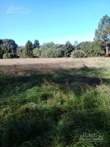 Chacra - Canning (ezeiza)