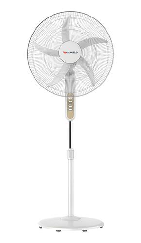 Ventilador Vp 20 M De Pie James