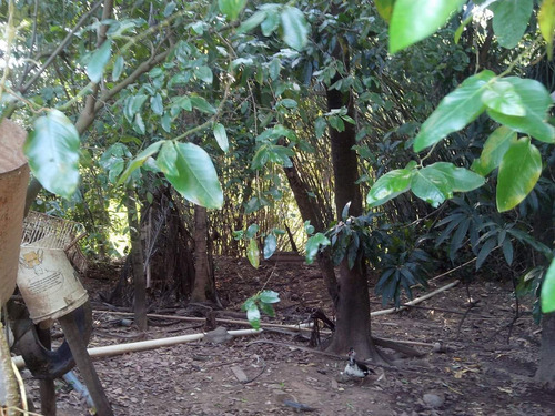 Vendo Ou Troco Uma Chácara Por Uma Casa No Rio De Janeiro