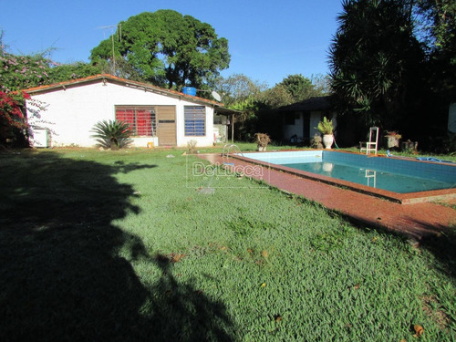 Imagem 4 de 14 de Chácara À Venda Em Chácara Santa Margarida - Ch003872