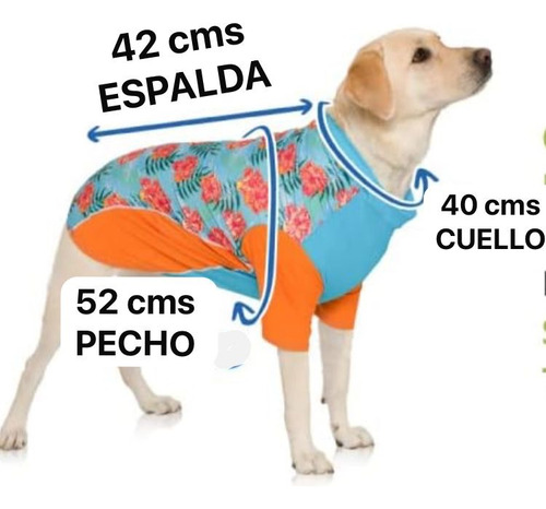Playa Pup Camisa Solar Para Perro T-m Rosa Traje De Baño