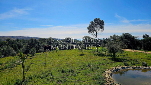 Casa En De Campo En Venta 5 Hectareas - Aigua, Maldonado