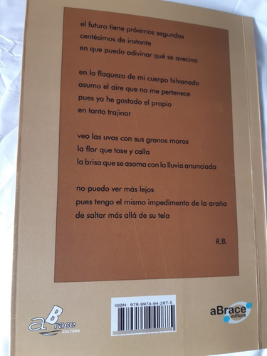 Poemas Escritos En El Futuro / R. Bianchi / Abrace Editora
