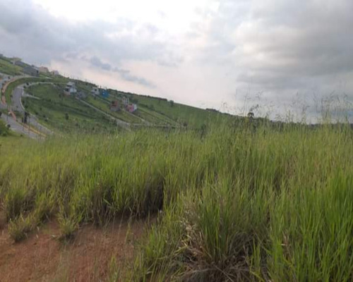 Imagem 2 de 6 de Terreno Misto ( Com E Res.) - Tm00001 - 68741700