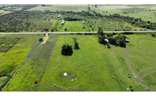 Vendo Campo De 3 Hectáreas En San Justo, Entre Ríos.