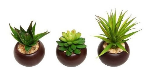 Plantas Mini Suculentas En Macetas Artificiales Set De 3