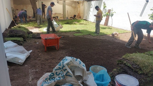 Imagen 5 de 5 de Poda En Altura Tala Extracciones De Raíz (los Amigos)