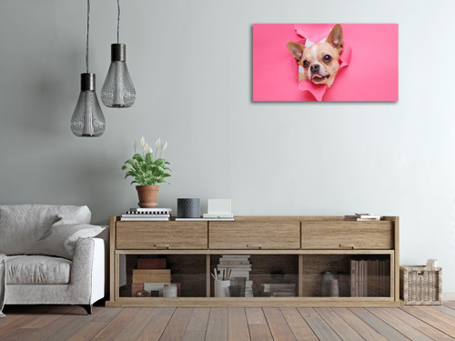 Cuadro Canvas Adorable Chihuahua Saliendo De Agujero 40x75cm