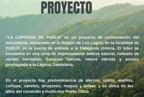 Venta De Parcela Con El Mejor Entorno Natural