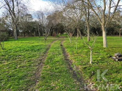 Campo en venta