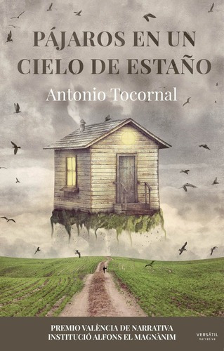 Pajaros En Un Cielo De Estaã¿o - Tocornal, Antonio