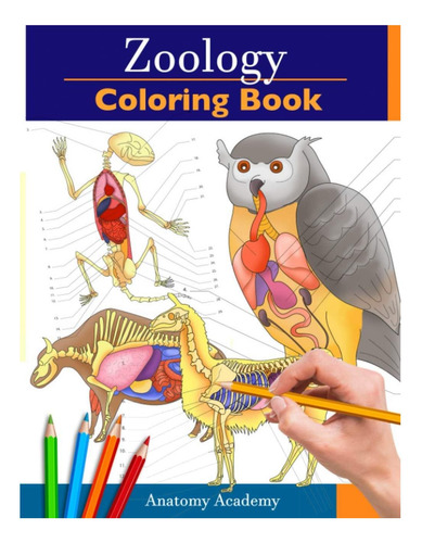 Libro: Libro Para Colorear De Zoología: Autoevaluación Incre