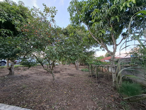 Chácara Em Condominio Fechado Em Ibiúna - 1000 M2 Terreno - Casa 3 Dormitórios Com Churrasqueira E Edícula