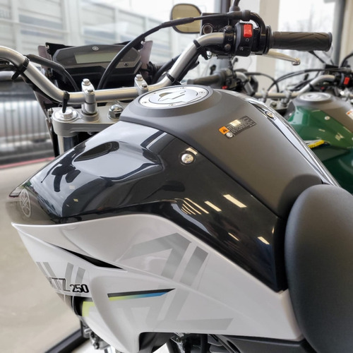 Imagen 4 de 20 de Moto Yamaha Xtz 250 Abs V. Final Modelo 2022 0km Patronelli