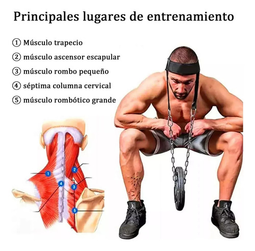 Arns Cabeza Pesa Lastre Gym Ejercitador De Cuello Gimnasio