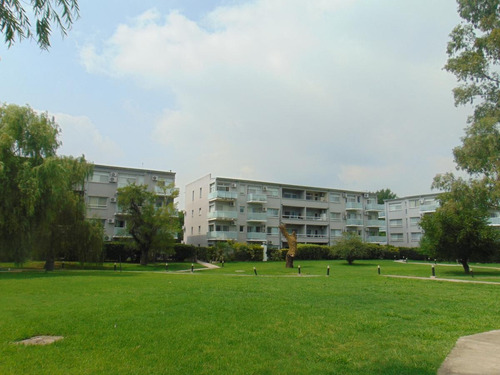 Imagen 25 de 30 de Departamento - La Mora