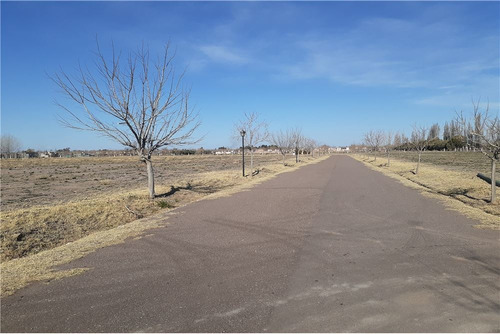 Imagen 16 de 30 de Barrio Viñas Del Sur Lotes, A Medida, Pre-venta
