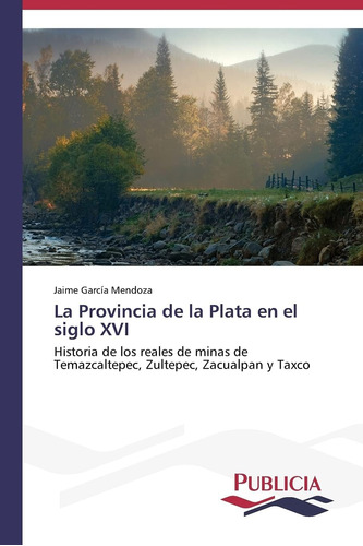 Libro: La Provincia Plata Siglo Xvi: Historia