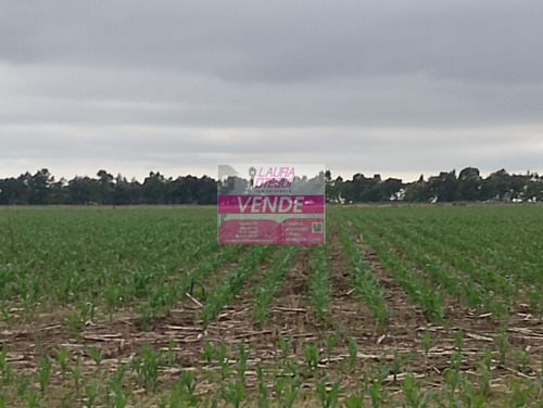 Venta Campo Mixto 130 Has Partido De Ayacucho