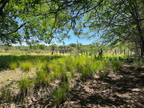 Venta Campo Villa Quillinzo (40 Hectareas) Ideal Para Loteo