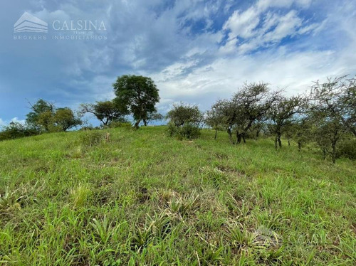 Imagen 5 de 8 de Terreno - Estancia El Terrón