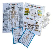 Comprar Actividad Sistema Oseo Esqueleto Cuerpo Humano Para Niños