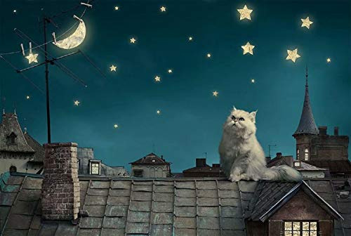 Queenie® 1000 Pieza Lovely Persian Cat Starry Sky Stars Luna