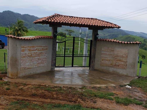 Imagen 15 de 23 de Finca Productivo En Tachira