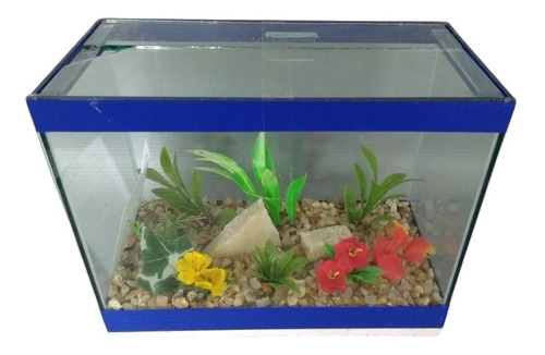 Aquário Mini Beteira Jardim Retangular 3lts Decorado