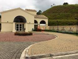 Imagem 7 de 23 de Tamboré 11 - Terreno Plano À Venda, 442 M² - Alphaville - Santana De Parnaíba/sp - Te1720