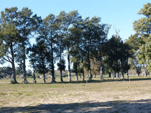 Terreno Lote En Venta En Parada Robles, Exaltación De La Cruz, G.b.a. Zona Norte