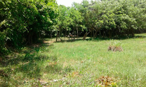 Venta Rancho 6 Hectáreas Hectáreas En Tuxpan Veracruz