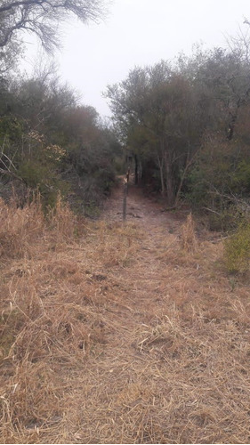 Campo En Venta En Las Lomitas, Formosa