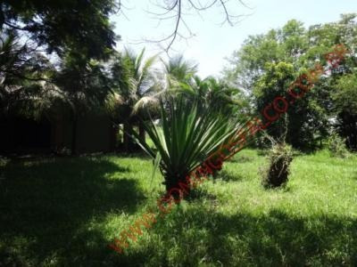 Imagem 8 de 8 de Venda - Chácara - Chácaras De Recreio Represa - Nova Odessa - Sp - D7251