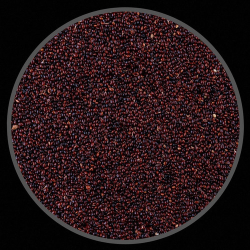 Kit 3 Pacotes De Painço Preto - 500g
