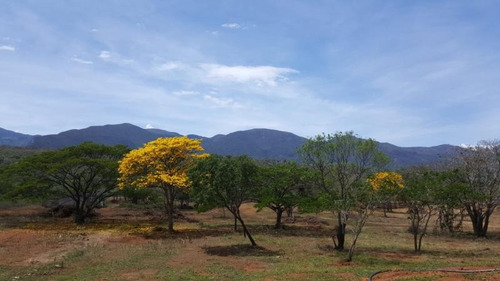 Lote En Venta En Los Patios La Garita