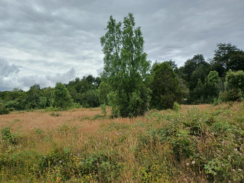 Parcela En La Reserva De Frutillar Naturaleza, Exclusivida