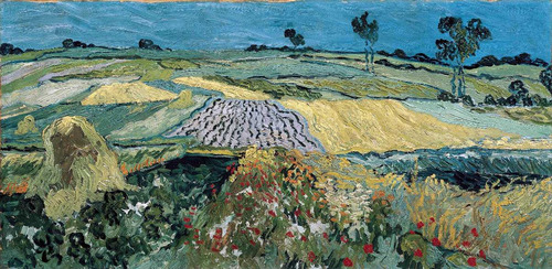 Lienzo Tela Vincent Van Gogh Planicies De Auvers 90 X 185