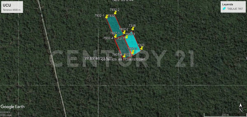 Terreno Entre Caucel Y Hunucmá La Zona Industrial De Mayor Desarrollo En Yucatán