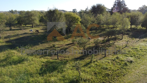 Imagen 3 de 12 de Terreno De 4310m2 Villa Ciudad De America