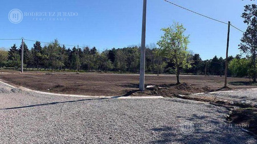 Imagen 3 de 8 de Terreno - Matheu - Lote 59 - Apto Procrear